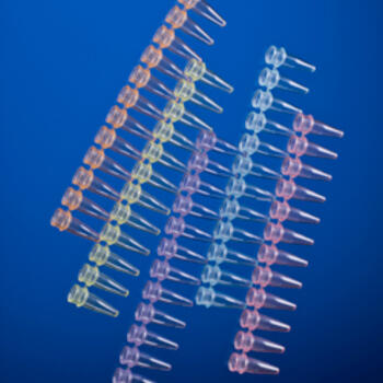 0.2 mL PCR tube strips without caps