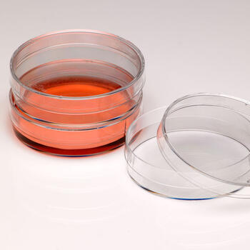 Sterile dishes have easy-to-handle lids, vented stacking rims, 150 x 20 mm
