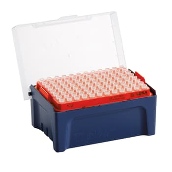 Pipette Tips in Racks