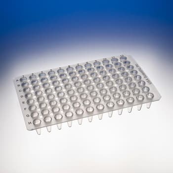 TempPlate Non-Skirted 96-Well PCR Plate, Low Profile, Natural