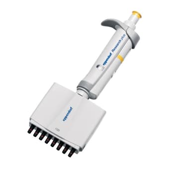 Eppendorf Research plus Multichannel Pipette - USA Eppendorf Research plus Multichannel Pipette - USA