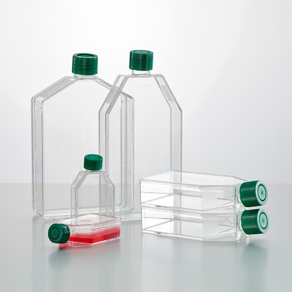 Cell Culture Flasks