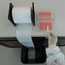 Microplate film, roll format