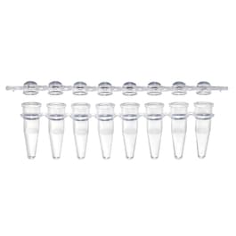 0.2 ML PCR 8-Tube Strips, clear natural