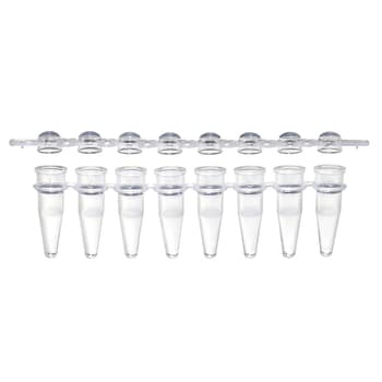 0.2 ML PCR 8-Tube Strips, clear natural