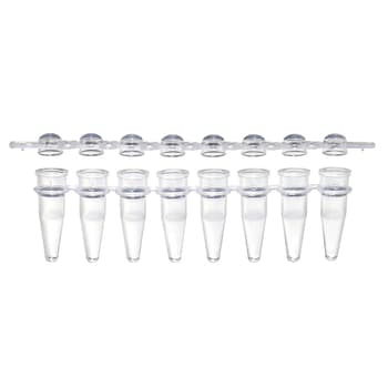 0.2 ML PCR 8-Tube Strips, clear natural