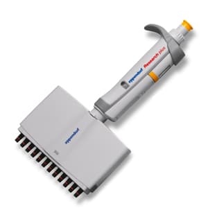 Eppendorf Research plus Multichannel Pipette, 12 Channel