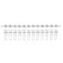 0.2 mL PCR 12-tube strip with 12-cap strips