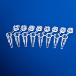 0.2 mL PCR 8-tube with attached clear flat caps, natural, top view