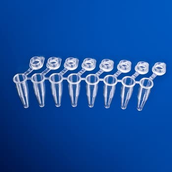 0.2 mL PCR 8-tube with attached clear flat caps, natural, top view