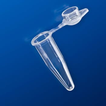 0.2 mL TempAssure PCR tube, attached dome cap, natural