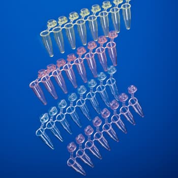 TempAssure 0.2 mL PCR Pull-Apart 8-Tube Strips, Attached Individual Dome  Caps