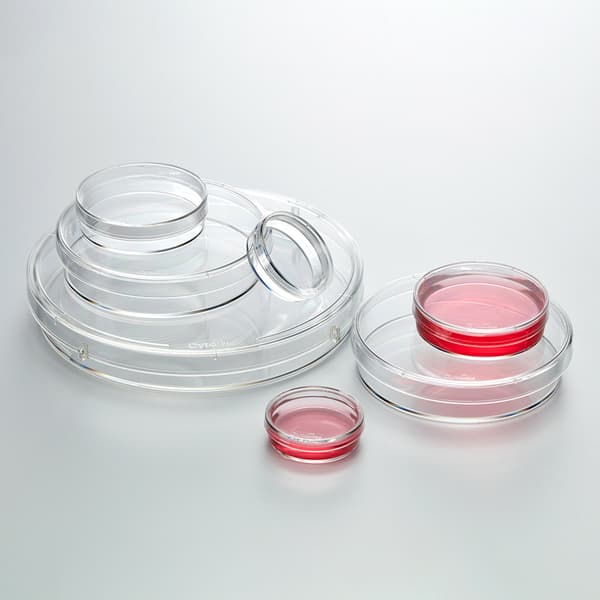 Cell Culture Dishes