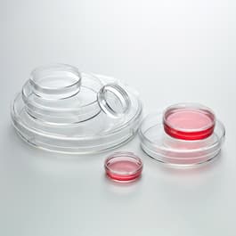 Glass lids Archives - MCG S.r.l.