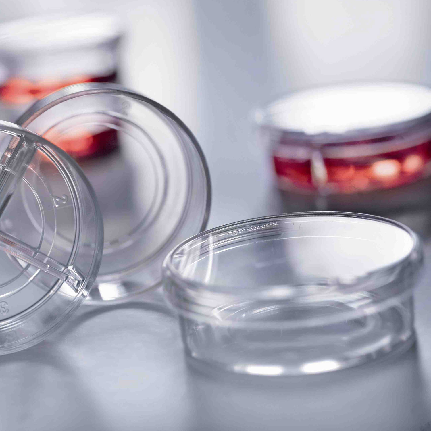 CELLview Cell Culture Dish, Undivided