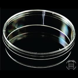 100 x 25 mm Deep Petri Dish