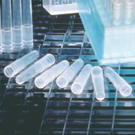0.65 mL Tube, Individual