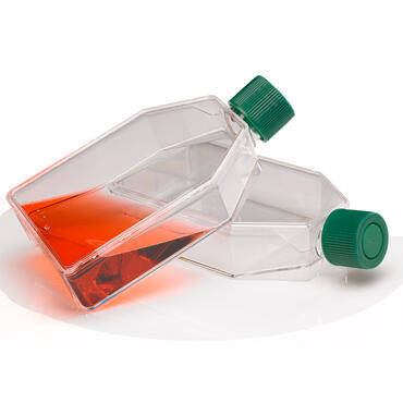 TempPlate® XP Sealing Film - USA Scientific, Inc TempPlate® XP Sealing Film - USA Scientific, Inc