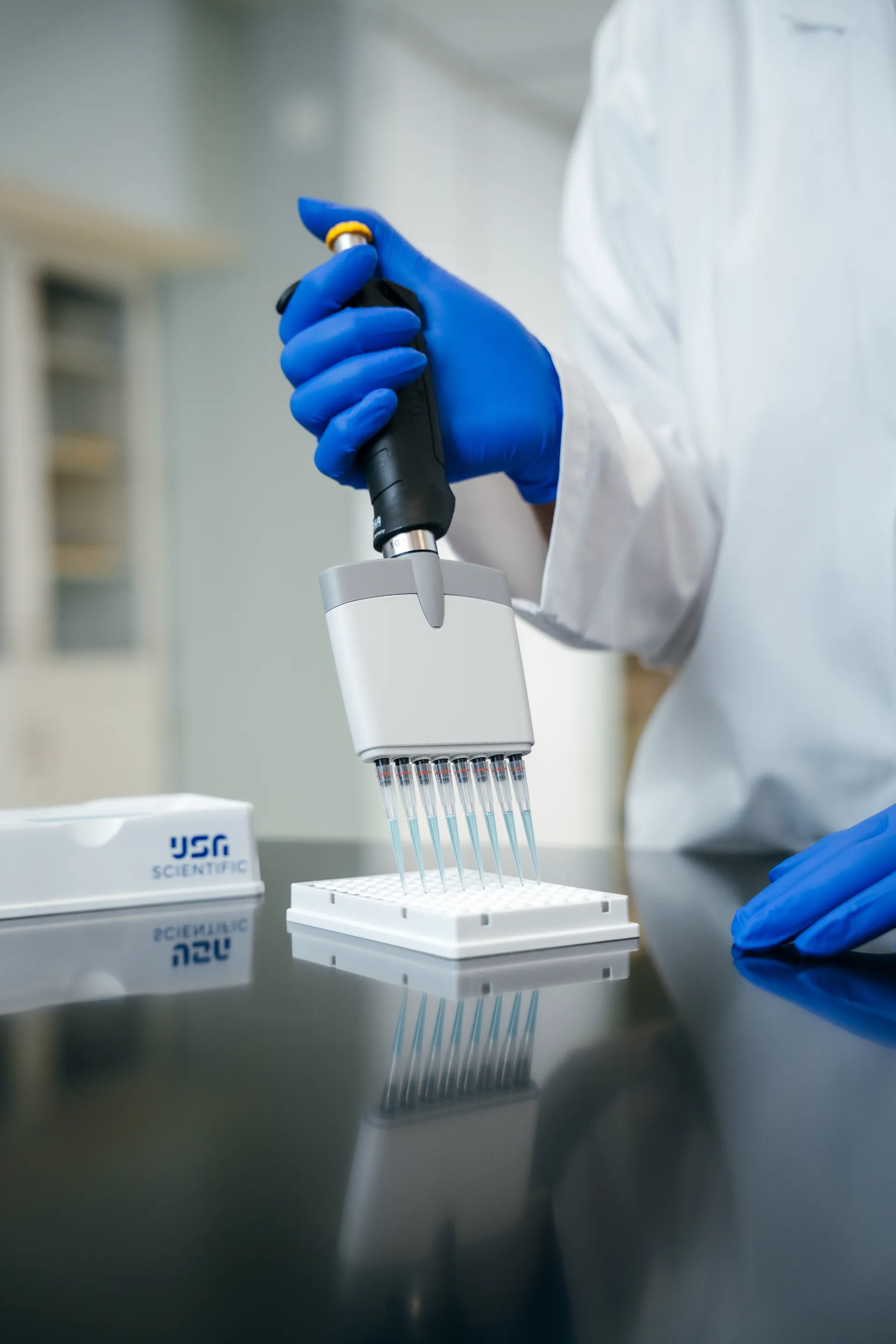 Multichannel pipette over a microplate