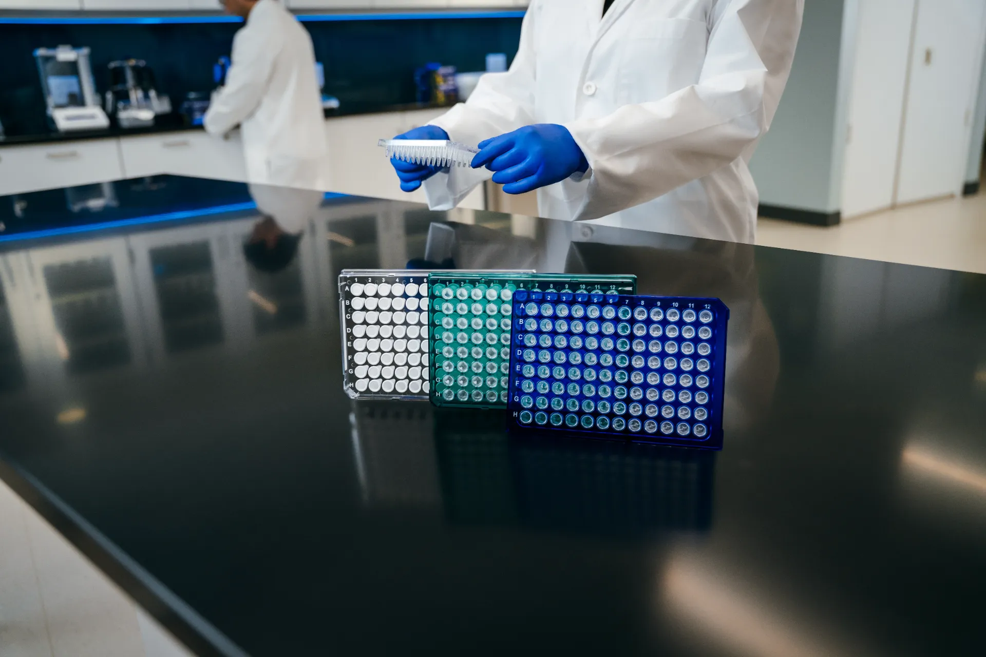 Assorted microplates on a lab bench