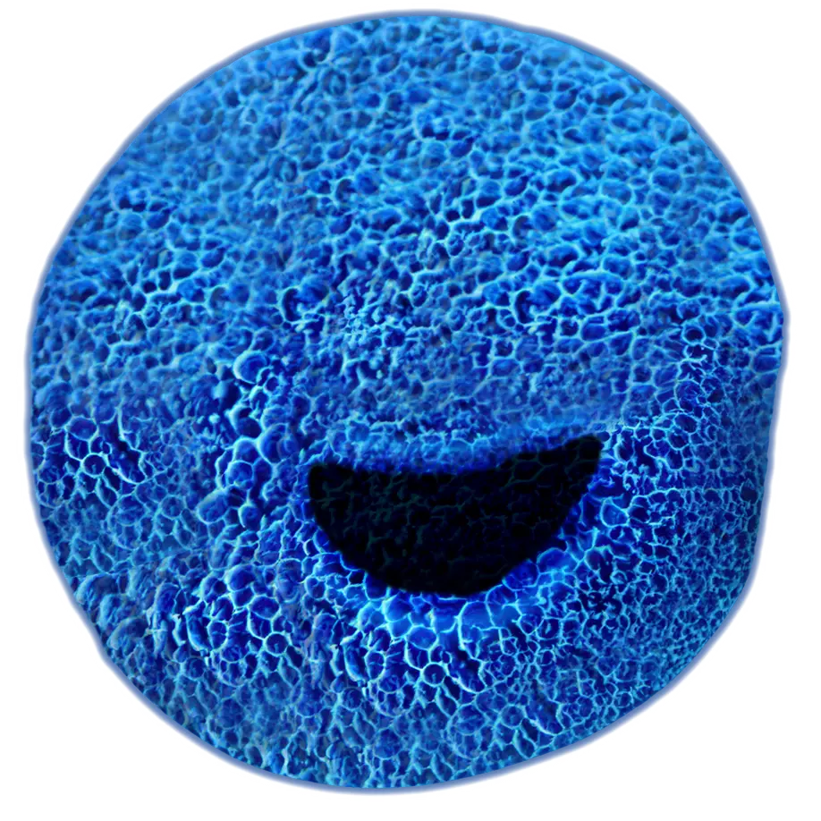 blue cell