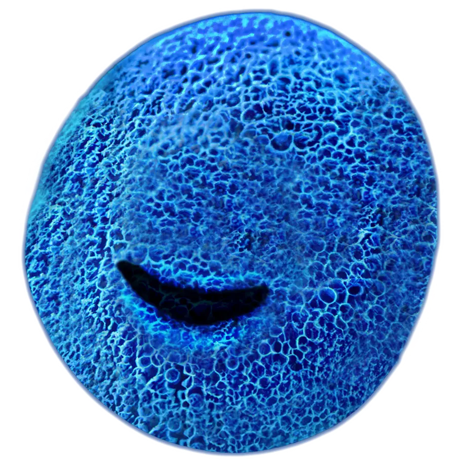 blue cell