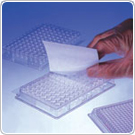 Sealing Film and Foil