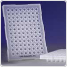 PCR Products