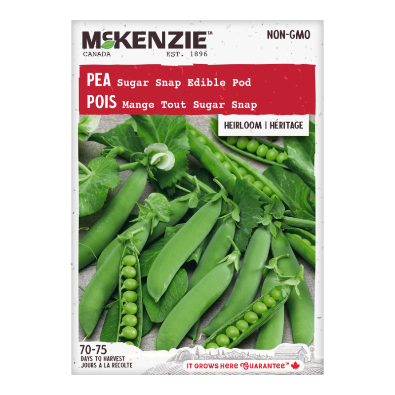 M/SEEDS PEA SUGAR SNAP