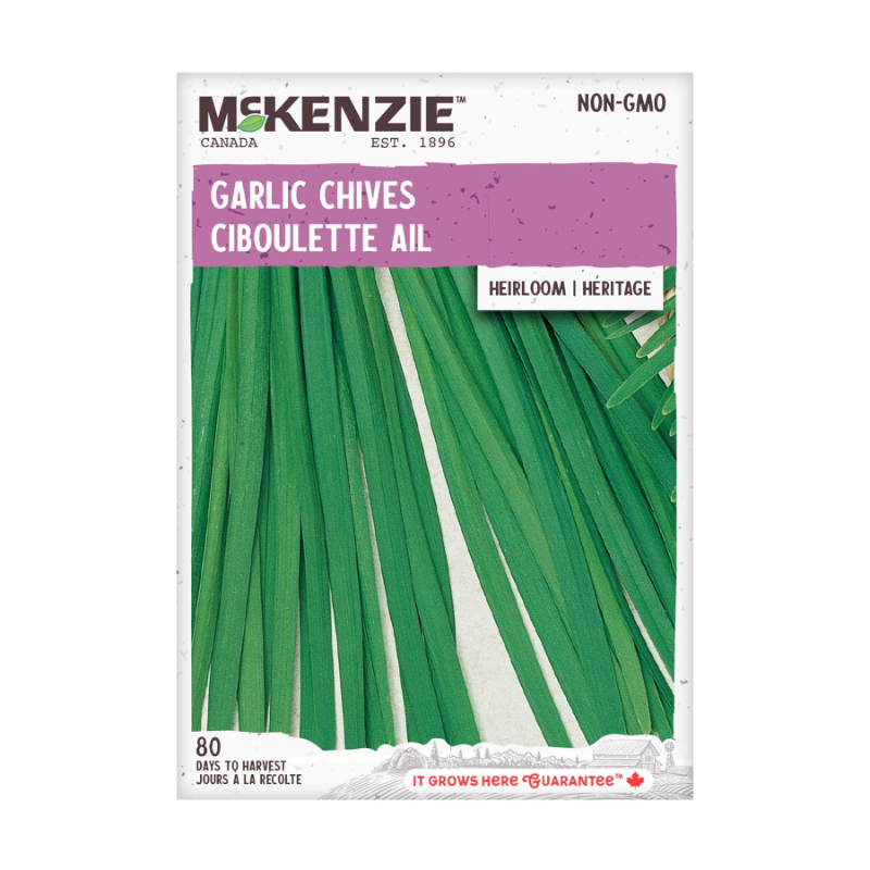 M/SEEDS HERB GARLIC CHIVES