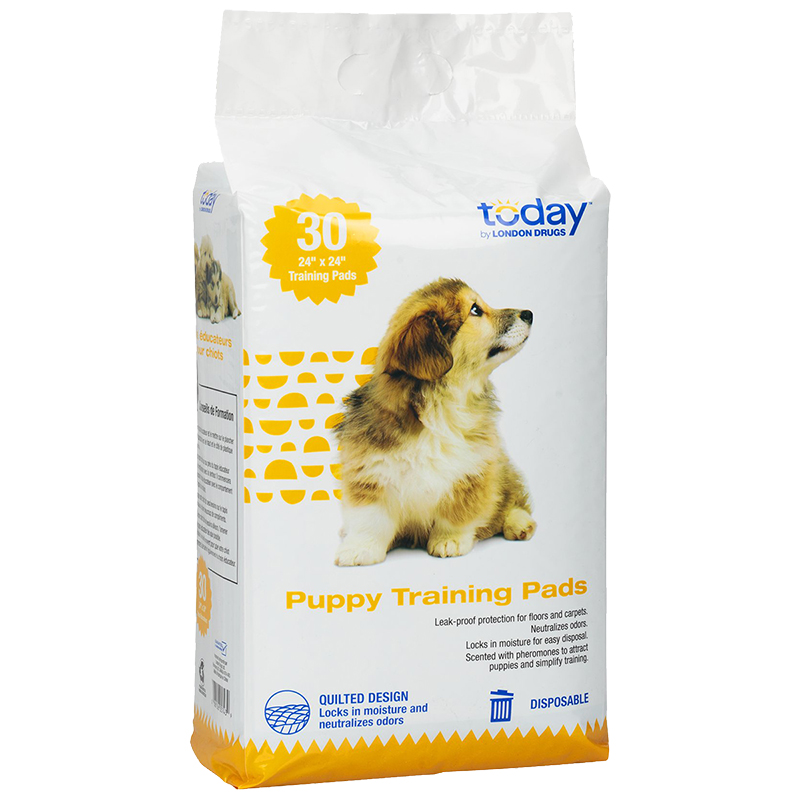 Today by London Drugs Puppy Training Pads Size 30S