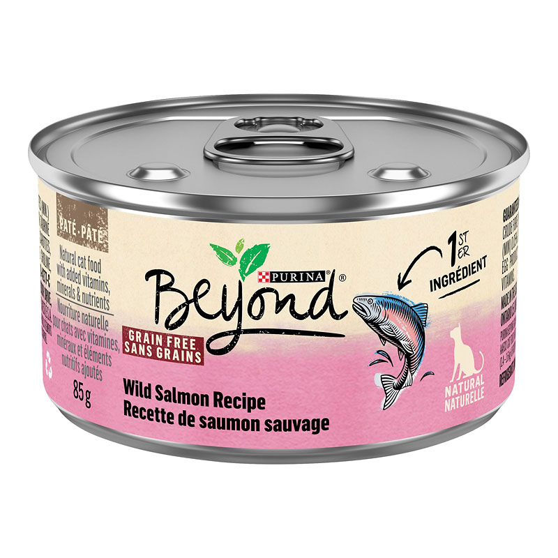 BEYOND GRAIN FREE SALMON 00053
