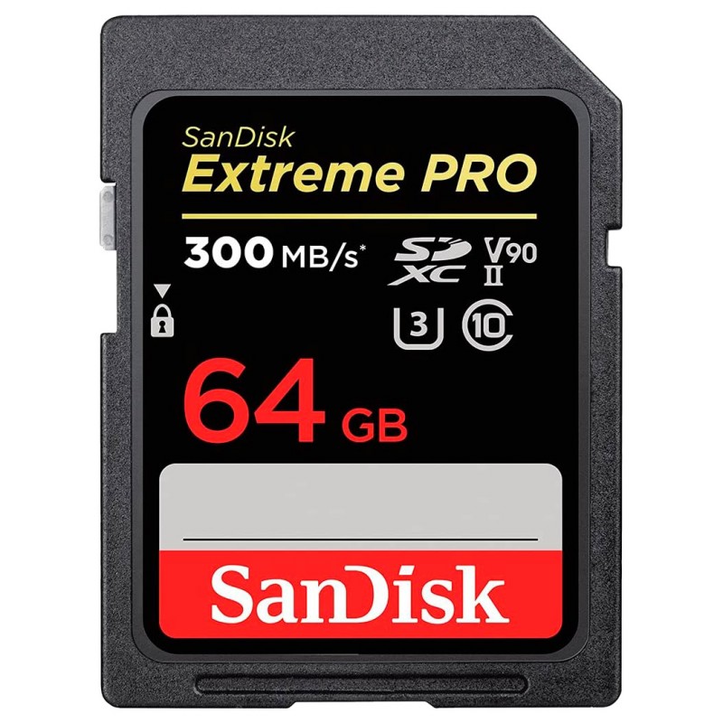 Steam Deck 64GB＋MicroSDXC 256GB