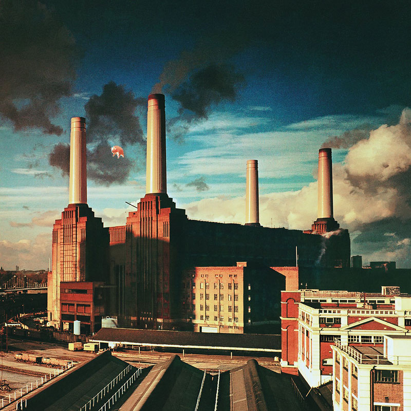 【最安値に挑戦】 PINK 100 | Drugs London | 88875184271 FLOYD-ANIMALS 洋楽