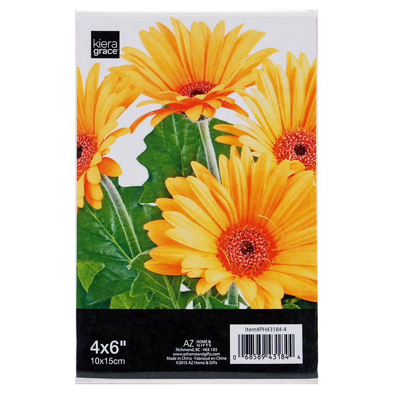 kiera-grace-4x6-v-bent-acrylic-frame-london-drugs-100-canadian