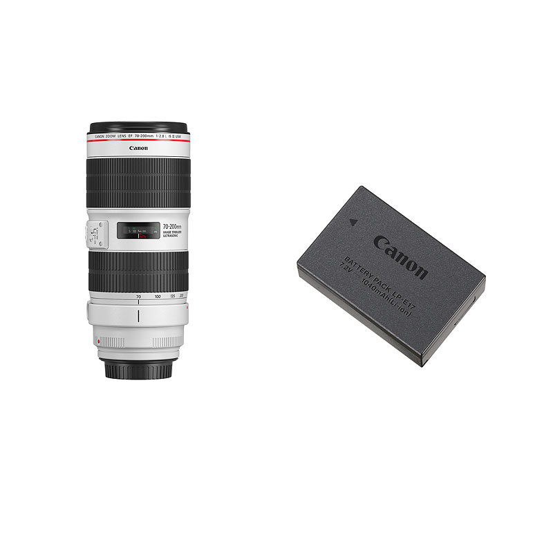 Canon ZOOM LENS EF 70-200mm F2.8 L IS USM レンズ カメラ周辺機器