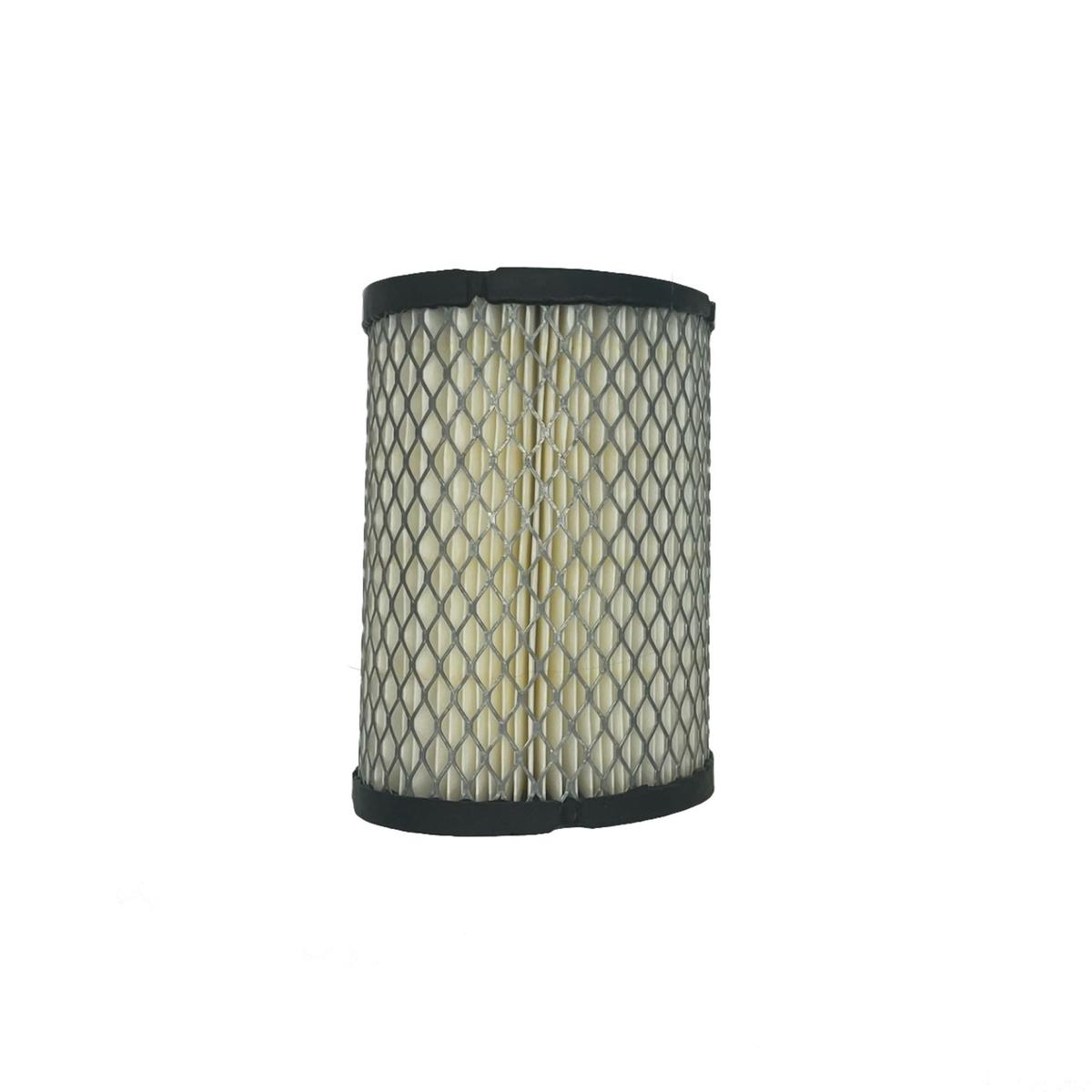 Air Filter (Years Select Models)
