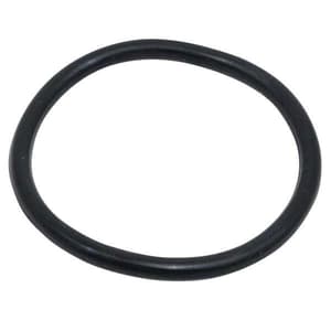 EZGO O-Ring Oil Filter (Years 1991-Up)