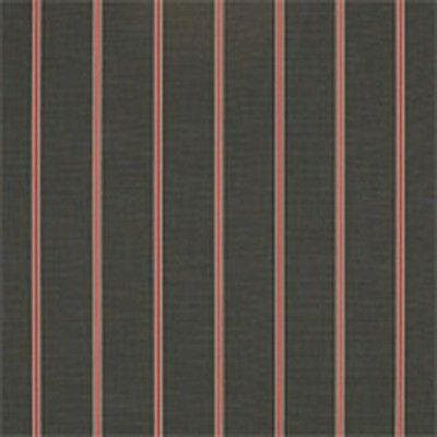 CHAM CP 36" VAL 4865 SHAFFORD CLASSIC (ALL CC, YA G14-