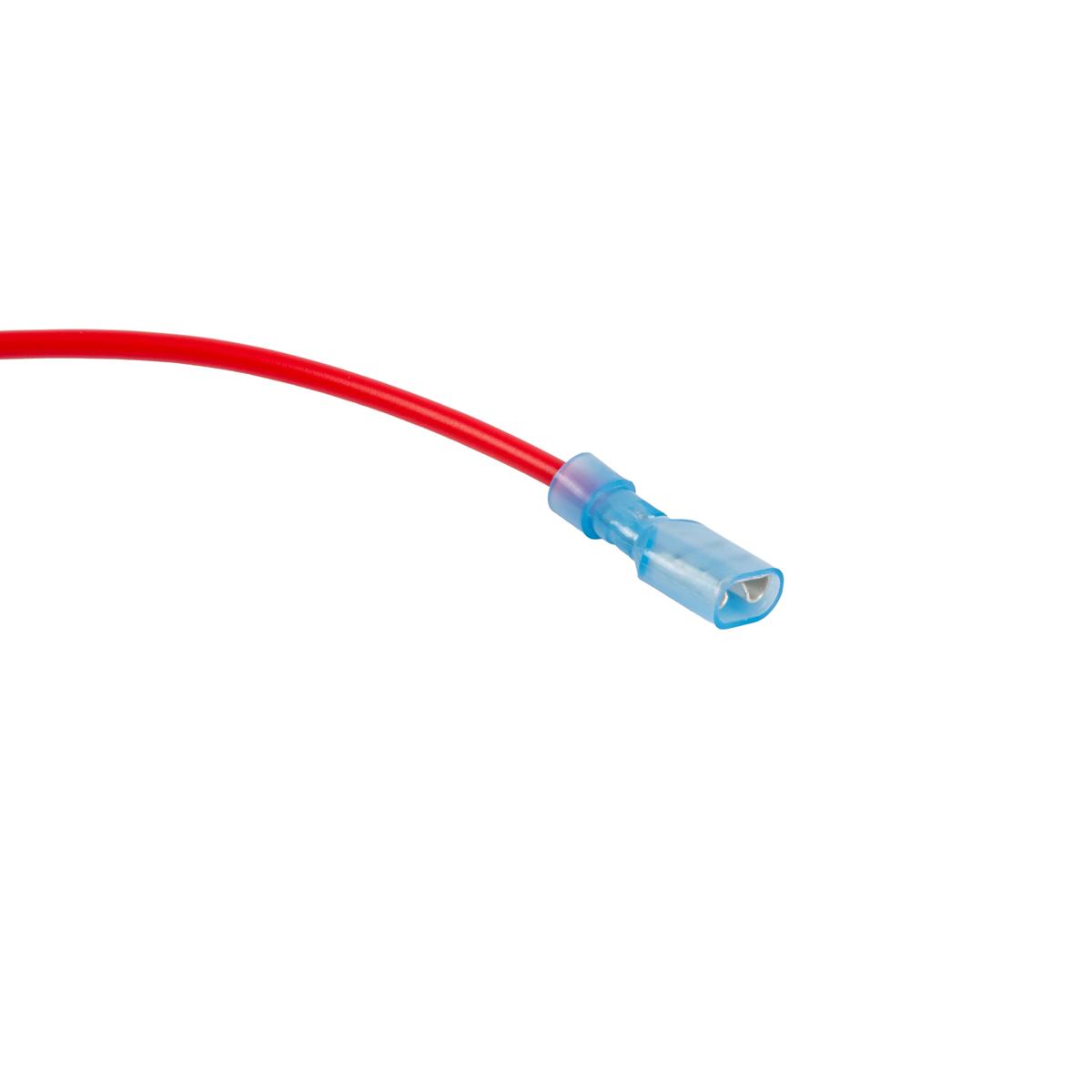 Bolt Energy EZGO TXT &amp; RXV CAN Adapter