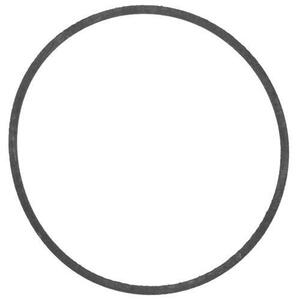 E-Z-GO 2-Cycle Float Bowl Gasket (Years 1989-1993)