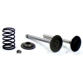 EZGO Gas 4-Cycle Upgraded Valve Kit (Years 1991-Up)