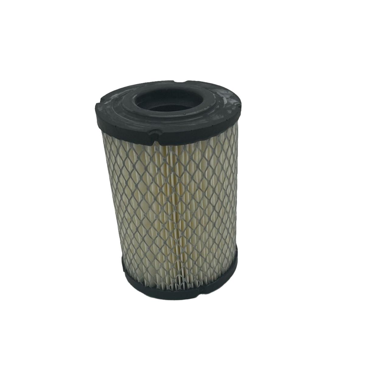 1976-95 Club Car-Columbia Par Car - Air Filter Replacement