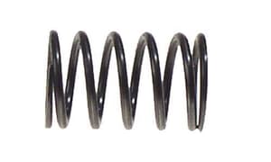 EZGO Valve Spring (Years 1991-Up)