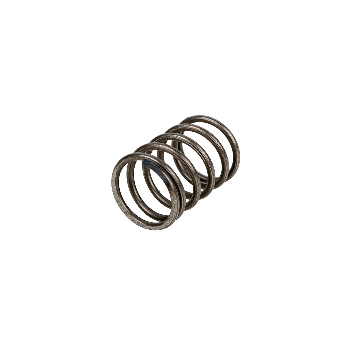 EZGO Valve Spring (Years 1991-Up)