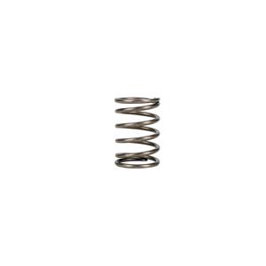 EZGO Valve Spring (Years 1991-Up)