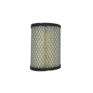 Air Filter (Years Select Models)