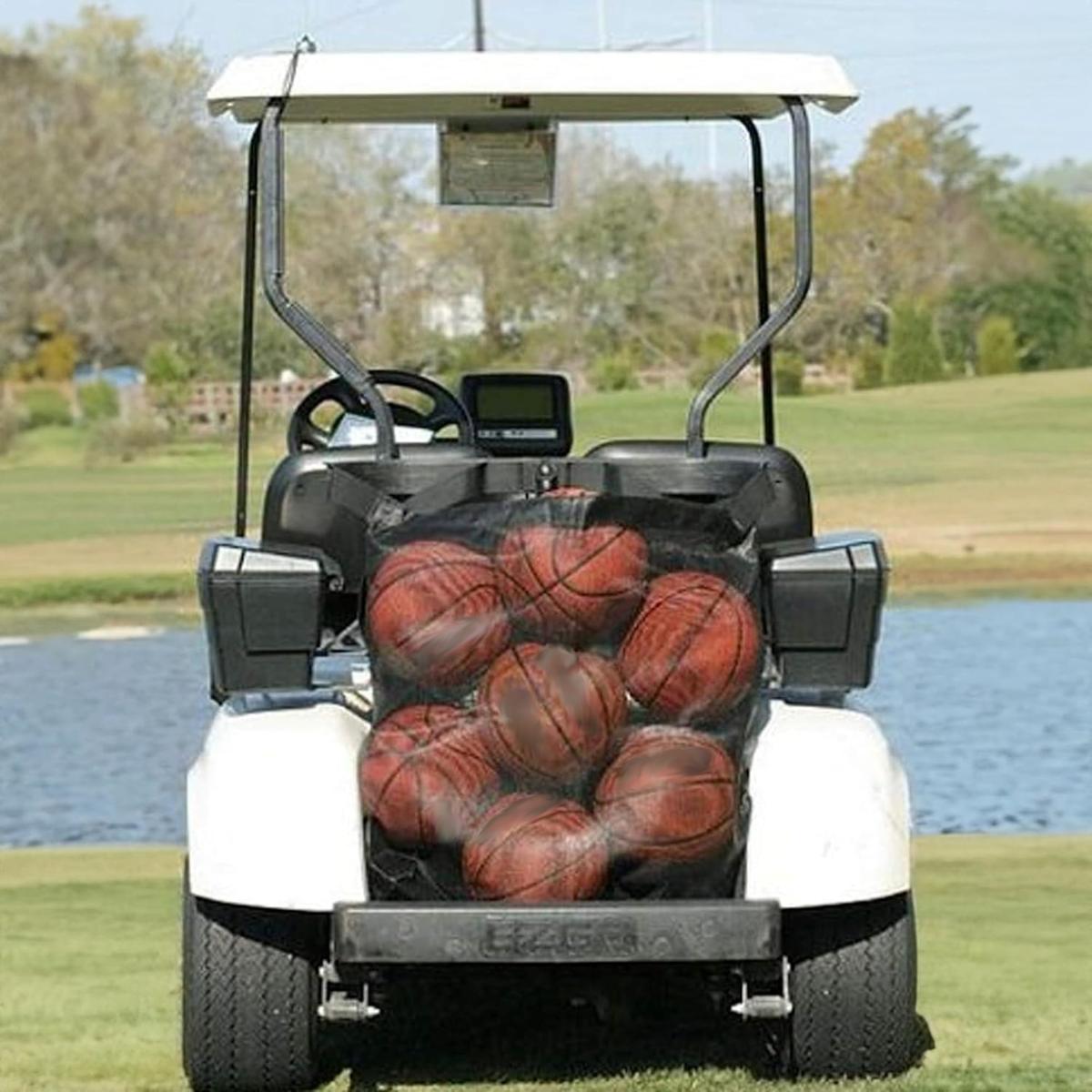 The Buggy Bag