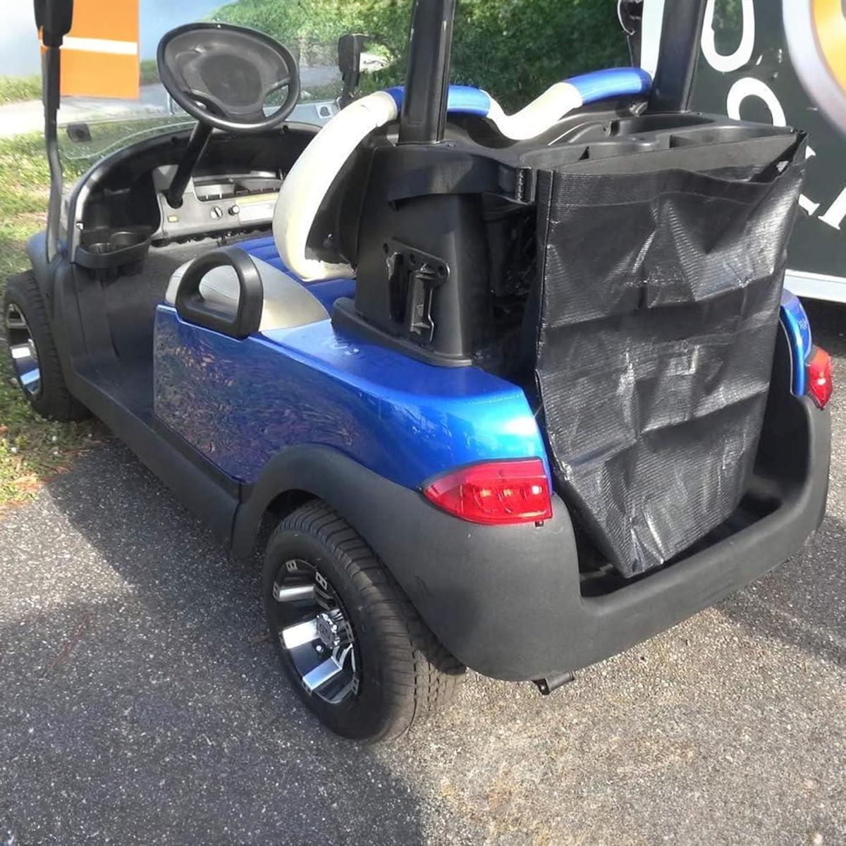 The Buggy Bag