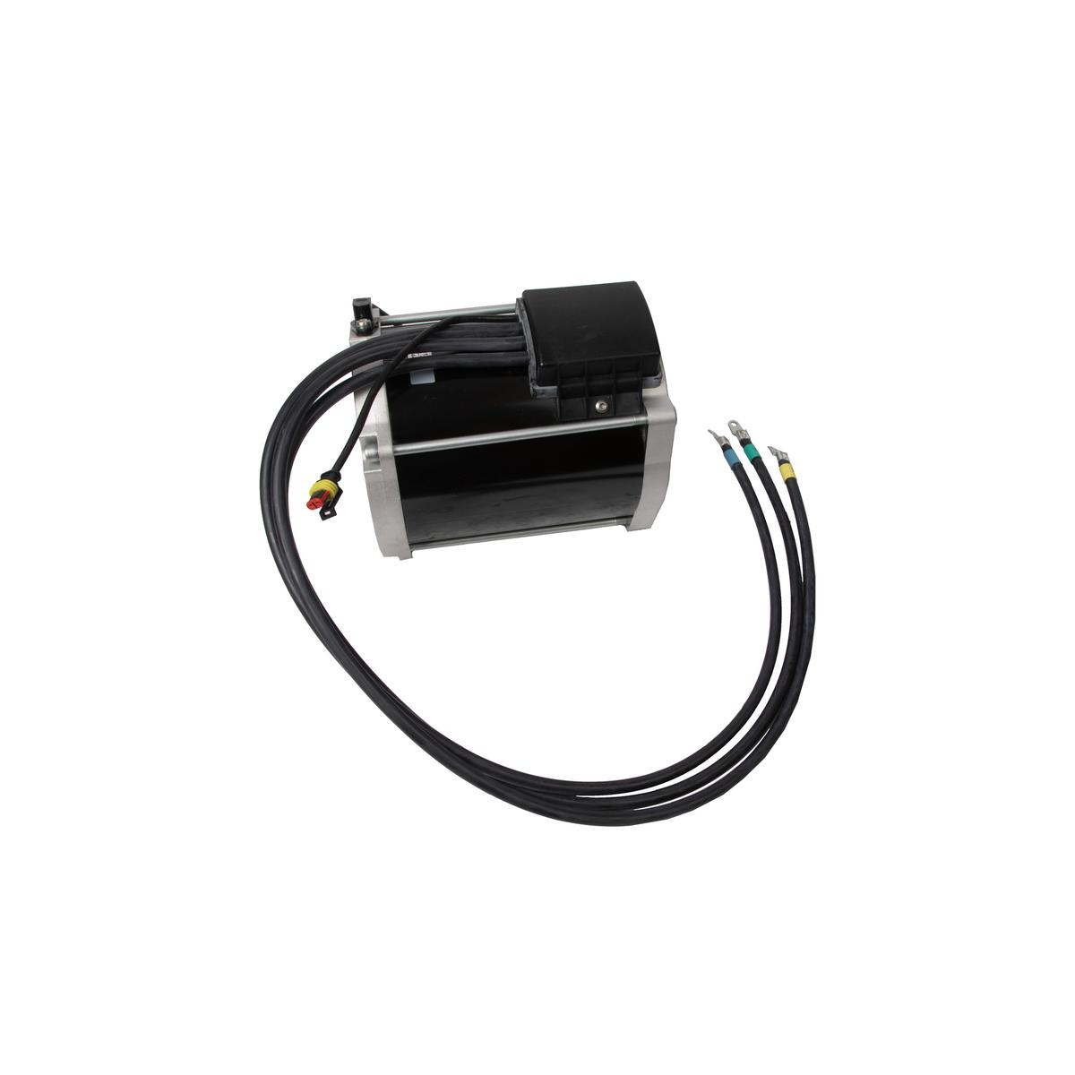 EZGO RXV 48-Volt AC Motor (Years 2008-Up)